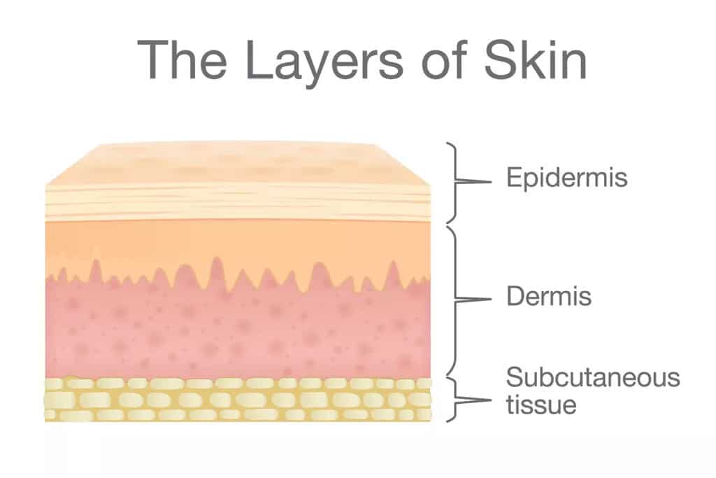 layers-of-skin